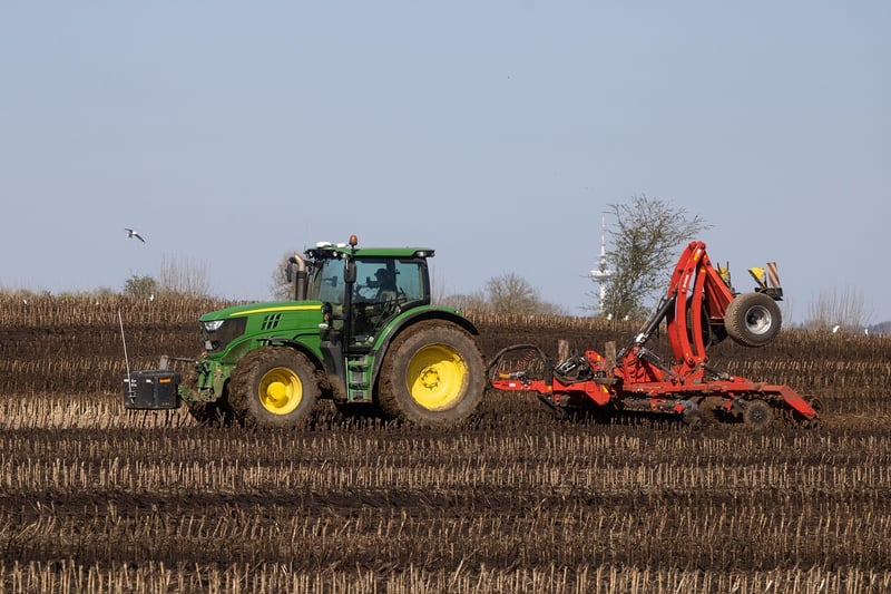 Fertilizing Guide